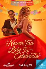 Watch Never Too Late to Celebrate Megavideo