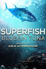 Superfish Bluefin Tuna megavideo