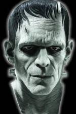 Watch Frankenstein Birth of a Monster Megavideo
