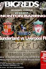 Watch Sunderland vs Liverpool Megavideo