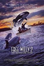 Watch Free Willy 2: The Adventure Home Megavideo