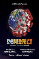 Watch Far from Perfect: Life Inside a Global Pandemic Megavideo