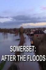 Watch Somerset: After the Floods Megavideo