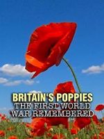 Watch Britain\'s Poppies: The First World War Remembered Megavideo