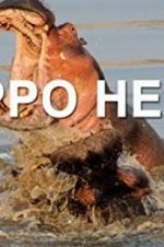 Watch Hippo Hell Megavideo