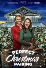 Watch A Perfect Christmas Pairing Megavideo