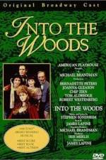 Watch Into the Woods Megavideo