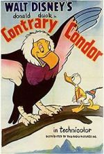 Watch Contrary Condor Megavideo