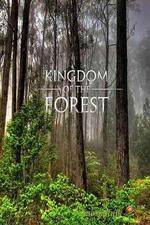 Watch National Geographic Kingdom of the Forest Megavideo