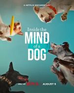 Watch Inside the Mind of a Dog Megavideo