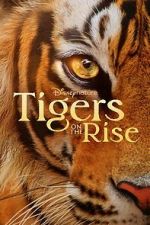 Watch Tigers on the Rise Megavideo