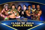 Watch WWE Hall of Fame Megavideo