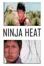 Watch Ninja Heat Megavideo