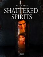 Watch Shattered Spirits Megavideo