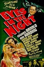 Watch Eyes in the Night Megavideo