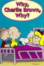 Watch Why Charlie Brown Why Megavideo