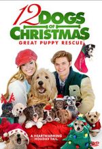 Watch 12 Dogs of Christmas: Great Puppy Rescue Megavideo