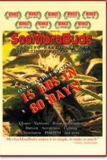 Watch SeeMoreBuds: Vol. 1 Megavideo