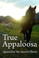 Watch True Appaloosa Megavideo