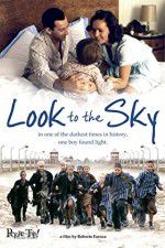 Watch Look to the Sky Megavideo