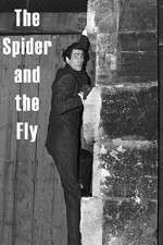 Watch The Spider and the Fly Megavideo