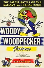 Watch The Woody Woodpecker Polka Megavideo