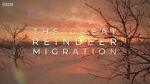 Watch All Aboard! The Great Reindeer Migration Megavideo