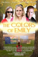 Watch The Colors of Emily Megavideo