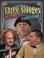 Watch Three Stooges Comedy Collection Megavideo