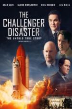 Watch The Challenger Disaster Megavideo