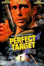 Watch Perfect Target Megavideo