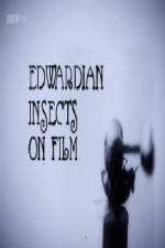 Watch Edwardian Insects on Film Megavideo