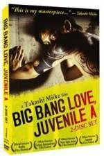 Watch Big Bang Love Juvenile A Megavideo