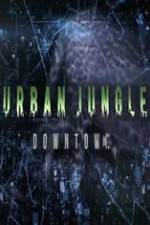 Watch National Geographic Wild Urban Jungle Downtown Megavideo