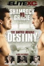 Watch EliteXC Destiny Shamrock vs. Gracie Megavideo