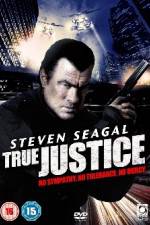 Watch True Justice (2011) Megavideo