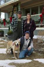 Watch Hallmark Hall of Fame A Dog Named Christmas Megavideo