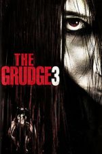 Watch The Grudge 3 Megavideo