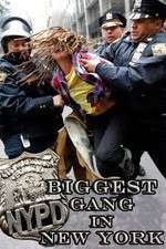 Watch NYPD: Biggest Gang in New York? Megavideo