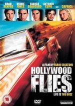 Watch Hollywood Flies Megavideo