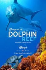 Watch Dolphin Reef Megavideo