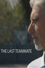 Watch Senna The Last Teammate Megavideo