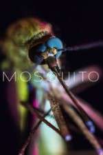 Watch Mosquito Megavideo