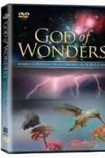 Watch God of Wonders Megavideo