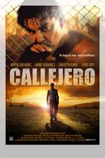 Watch Callejero Megavideo