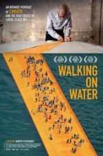 Watch Walking on Water Megavideo