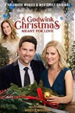 Watch A Godwink Christmas: Meant for Love Megavideo