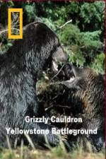 Watch National Geographic Grizzly Cauldron Megavideo