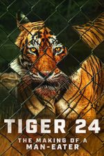 Watch Tiger 24 Megavideo