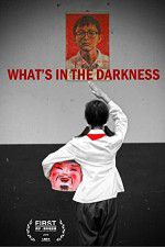 Watch What\'s in the Darkness Megavideo